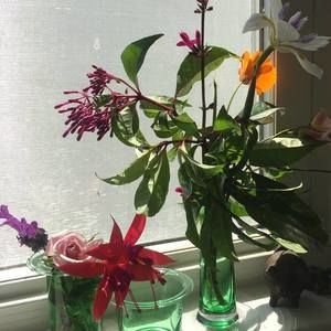 Meet your Posher, Deb